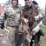 12-17-15
2 GOOSE BANDS
